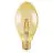 Ledvance Vintage 1906 LED E27 Gold 4W 470lm - 824 Extra Warmweiß | Ersatz Für 40W