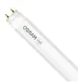 Osram LED Röhre 60cm | 6500K 8W - Value