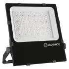 Ledvance Led-Scheinwerfer Performance 290W 35300lm 55x110D - 830  | IP66 - Dali Dimmbar - Asymmetrisch 