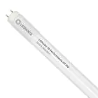 Ledvance LED Röhre 150cm | 6500K 20W - Performance HO