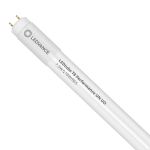 Ledvance tube LED 60cm | 6500K 7.5W - Performance UO