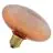 Osram Decor LED Lamp Orange Verre E27 3.5W 300lm - 827 Blanc Très Chaud | Remplacement 25W