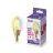 WiZ Smart LED E14 Bougie Filament Dorée 5W 370lm | Meilleur Rendu De Couleur - Dimmable - Remplacement 25W
