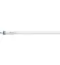 Philips tube LED 55cm | 6500K 8W - Master HE