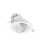 Philips Spot LED LuxSpace Accent Performance RS781B 40W 4550lm 36D - 930  | 170mm - Meilleur rendu de couleur