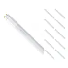 Lot 10x tube LED 60cm | 4000K 9W - HO